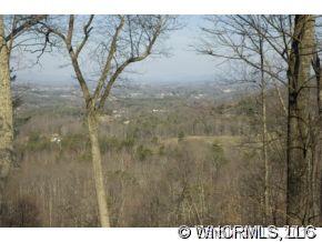 Property image 3 at 17 Herron View Lane, Weaverville, NC 28787