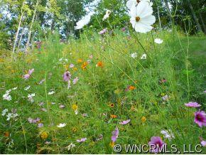 Property image 3 at 25 Chesten Mountain Drive, Asheville, NC 28803