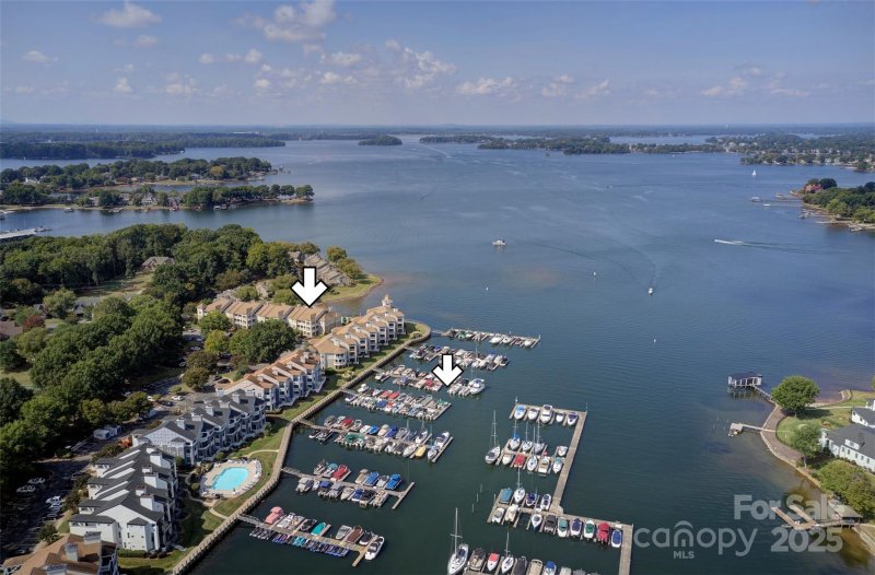 Property image 5 of 18589 Vineyard Point Lane in Vineyard Point, Cornelius, NC 28031