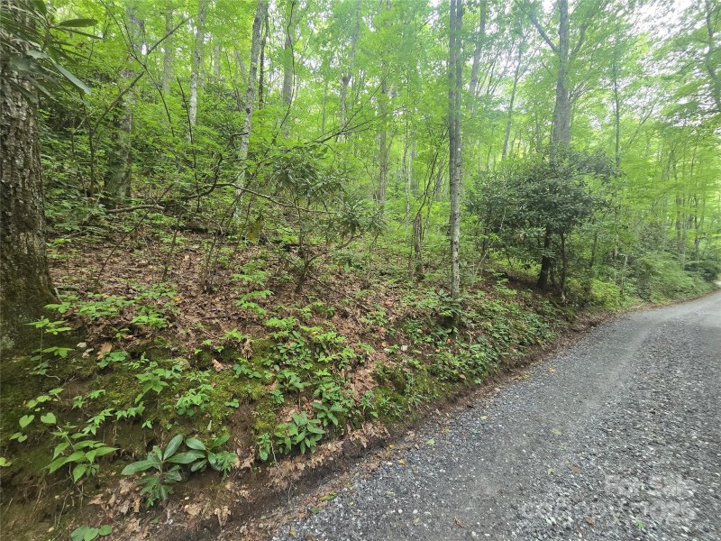 Property image 3 of Lt 7 Buck Knob None in Sherwoode Forest, Cullowhee, NC 28723