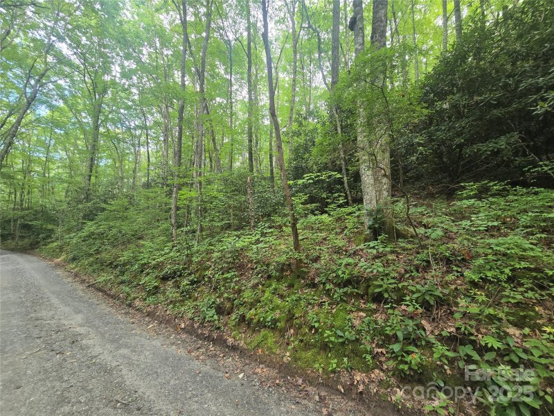 Property image 4 of Lt 7 Buck Knob None in Sherwoode Forest, Cullowhee, NC 28723