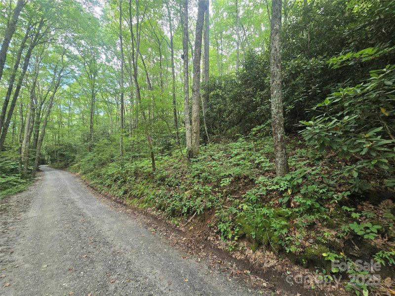 Property image 5 of Lt 7 Buck Knob None in Sherwoode Forest, Cullowhee, NC 28723