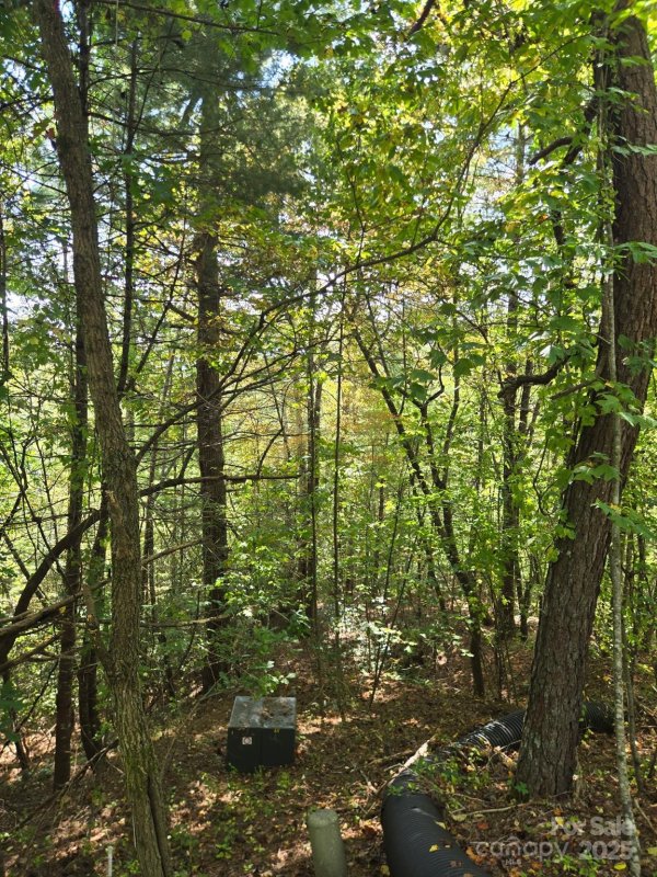 Property image 2 of 100 Stepp Ridge Court in Oleta Falls, Hendersonville, NC 28792