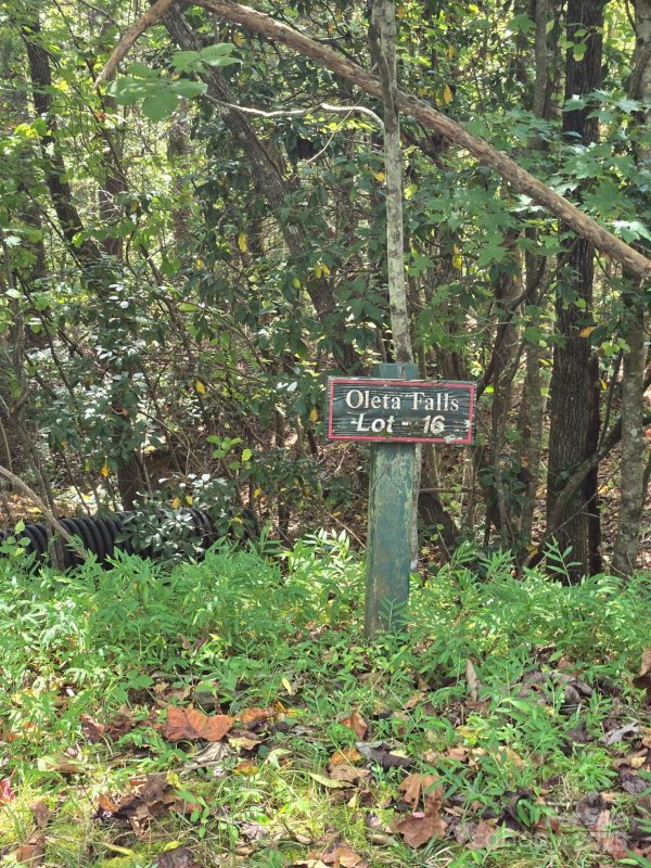 Property image 3 of 100 Stepp Ridge Court in Oleta Falls, Hendersonville, NC 28792