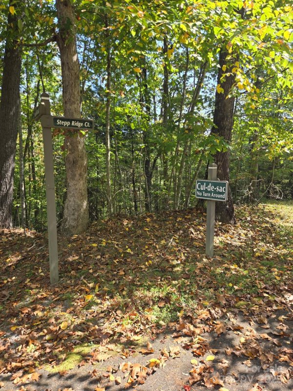 Property image 4 of 100 Stepp Ridge Court in Oleta Falls, Hendersonville, NC 28792