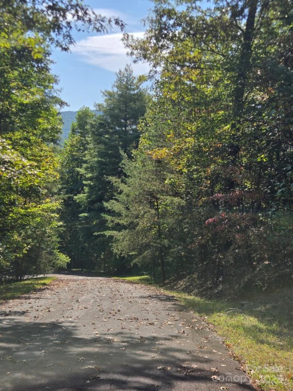 Property image 5 of 100 Stepp Ridge Court in Oleta Falls, Hendersonville, NC 28792