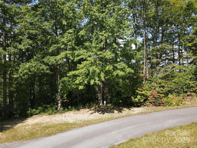 Property image 2 of 303 Ladd Ridge in Indian Camp Mountain, Rosman, NC 28772