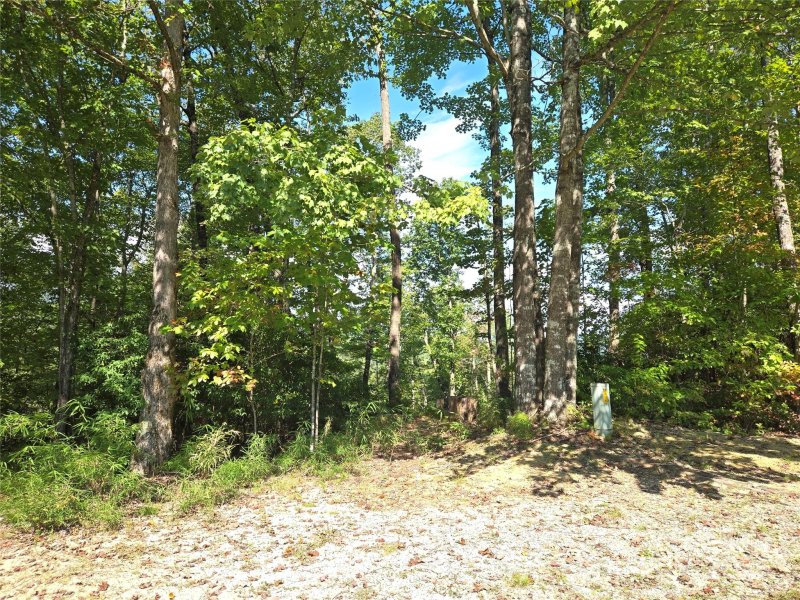 Property image 3 of 303 Ladd Ridge in Indian Camp Mountain, Rosman, NC 28772