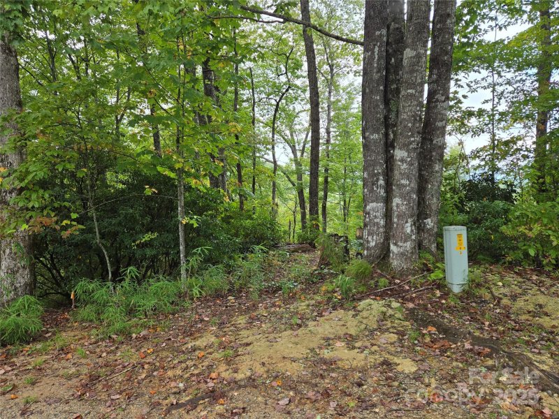 Property image 4 of 303 Ladd Ridge in Indian Camp Mountain, Rosman, NC 28772