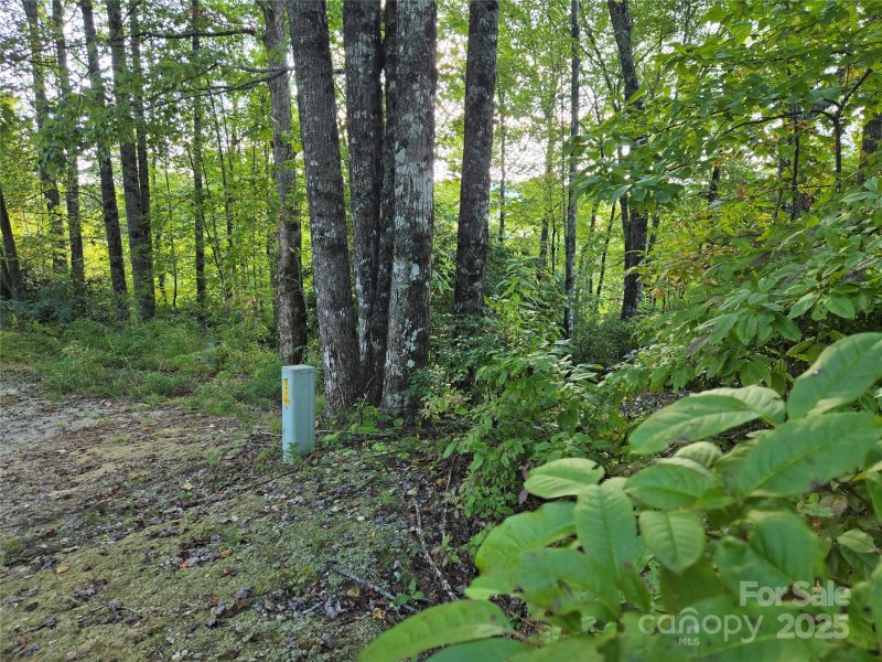Property image 5 of 303 Ladd Ridge in Indian Camp Mountain, Rosman, NC 28772