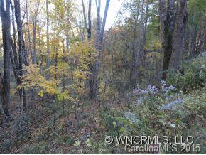 Property image 3 at Lot 40 Wolverine Ct, Waynesville, NC 28785