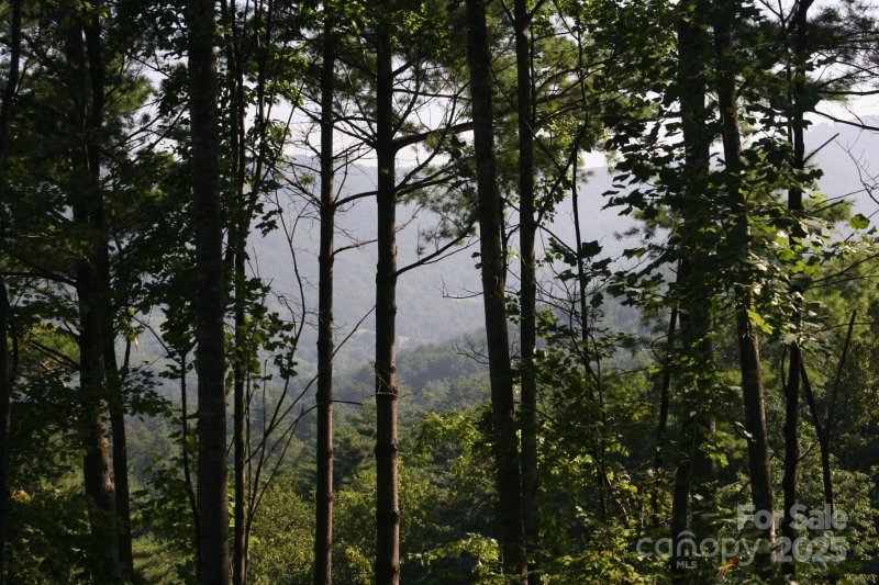 Property image 2 of 68 Wolfebridge Lane in Grove Park Cove, Asheville, NC 28804