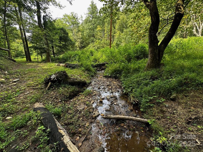 Property image 3 of 9999 Rock Ledge Drive in Vista At Bills Mountain, Lake Lure, NC 28746