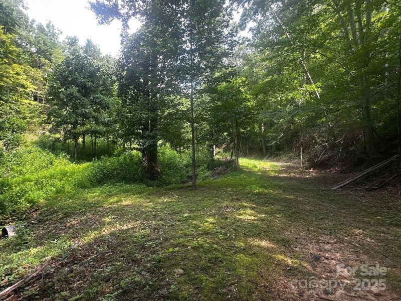 Property image 4 of 9999 Rock Ledge Drive in Vista At Bills Mountain, Lake Lure, NC 28746