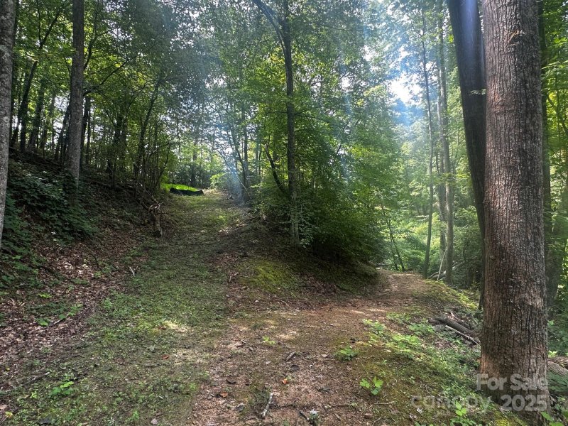 Property image 5 of 9999 Rock Ledge Drive in Vista At Bills Mountain, Lake Lure, NC 28746