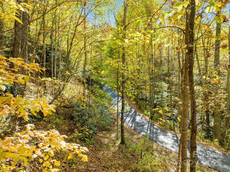 Property image 3 of 99999 Lytle Cove Road in Alpine Mountain, Swannanoa, NC 28778