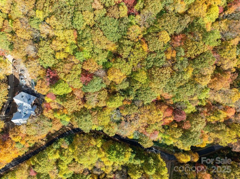 Property image 4 of 99999 Lytle Cove Road in Alpine Mountain, Swannanoa, NC 28778