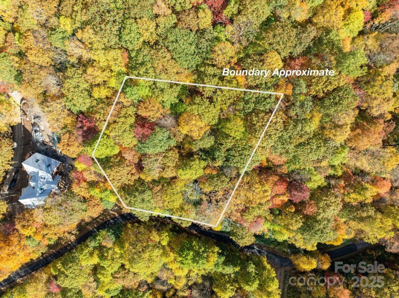 Property image 5 of 99999 Lytle Cove Road in Alpine Mountain, Swannanoa, NC 28778