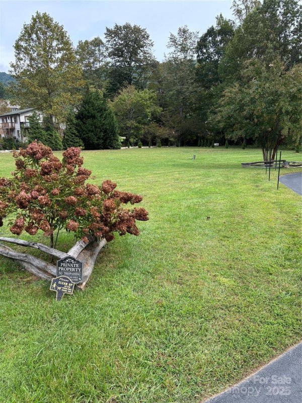 Black Bear Creek, Maggie Valley Community
