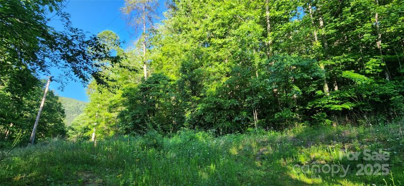 Property image 5 of 0 Buffalo Creek Road in Riverbend Highlands, Lake Lure, NC 28746