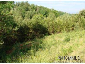 Property image 3 at 24 Ridge Brook Drive, Weaverville, NC 28787