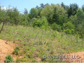 Property image 4 at 24 Ridge Brook Drive, Weaverville, NC 28787