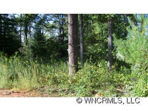 Property image 2 at 45 Sovereign Lane, Fairview, NC 28730