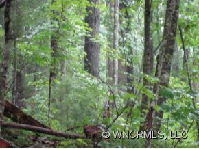 Property image 5 at Lot 310 Lynn Crest Drive, Brevard, NC 28712