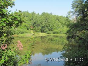 Property image 4 at 306 307 Lynn Crest Drive, Brevard, NC 28712