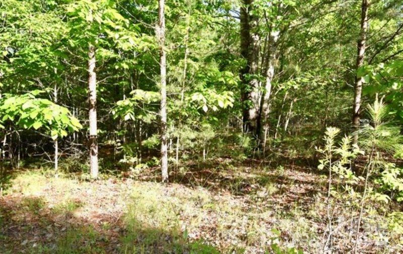 Property image 2 of Tbd Darrow Drive in Blackberry Creek, Nebo, NC 28761