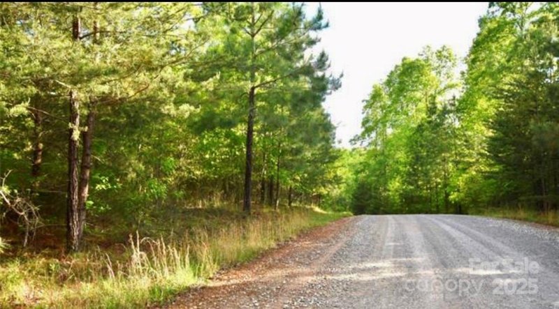 Property image 3 of Tbd Darrow Drive in Blackberry Creek, Nebo, NC 28761