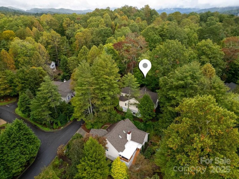 Property image 3 of 54 Wintergreen Drive in Deerlake Village, Brevard, NC 28712