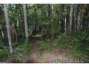 Property image 4 at 9 Lots Balsam Mountain Preserve, Balsam, NC 28779