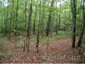 Property image 2 at 0 Speckled Trout Run, Brevard, NC 28712