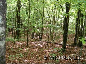 Property image 3 at 0 Speckled Trout Run, Brevard, NC 28712