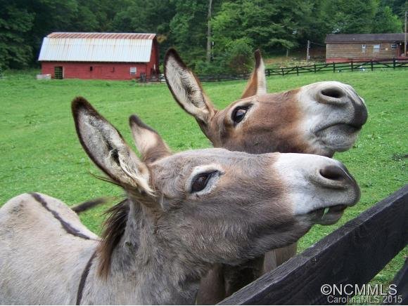 Property image 4 at 00 Slippery Rock Road, Waynesville, NC 28786