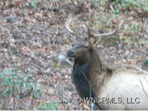 Property image 3 at 102 Amber Sky Drive, Waynesville, NC 28785