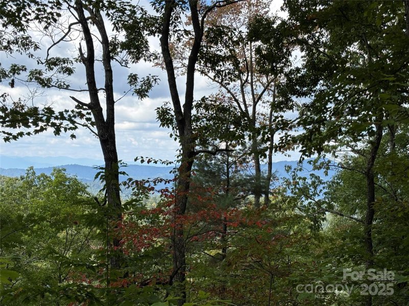 Property image 3 of 402 High Hickory Trail in High Hickory, Swannanoa, NC 28778
