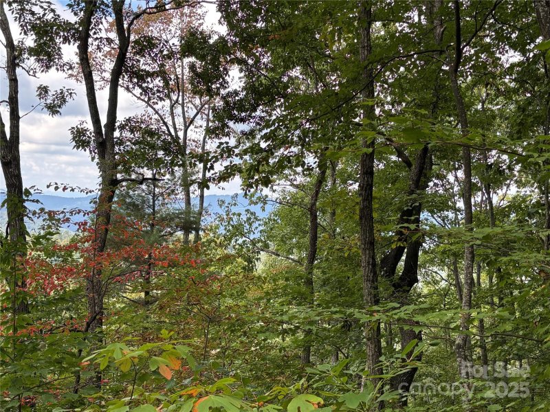 Property image 4 of 402 High Hickory Trail in High Hickory, Swannanoa, NC 28778