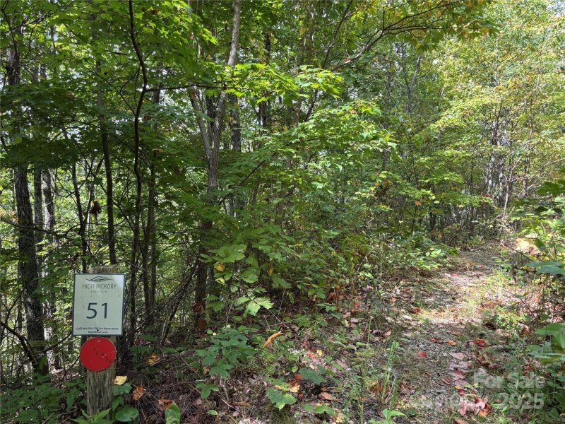 Property image 5 of 402 High Hickory Trail in High Hickory, Swannanoa, NC 28778