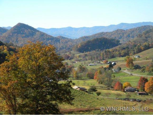 Property image 2 at 17 Pats Lane, Clyde, NC 28721