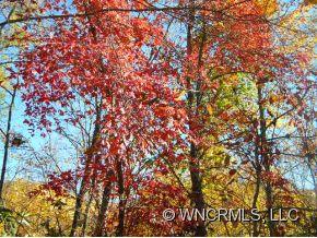 Property image 4 at 17 Pats Lane, Clyde, NC 28721