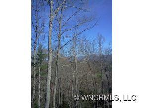Property image 4 at 121 Honeybear Lane, Clyde, NC 28721