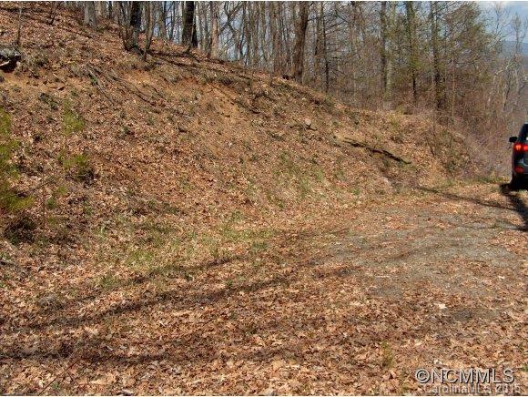 Property image 2 at , Waynesville, NC 28786