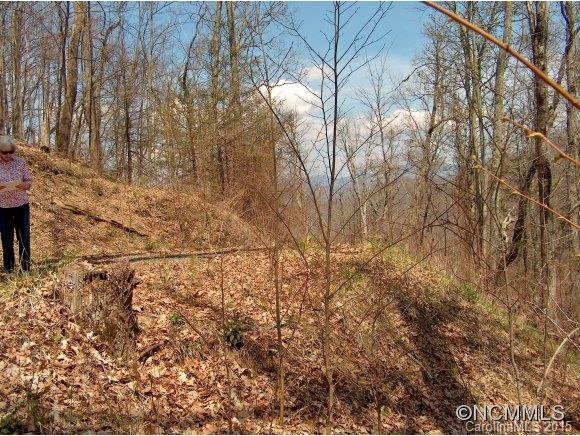 Property image 3 at , Waynesville, NC 28786