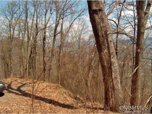 Property image 4 at , Waynesville, NC 28786