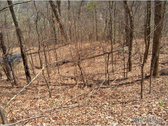 Property image 5 at , Waynesville, NC 28786