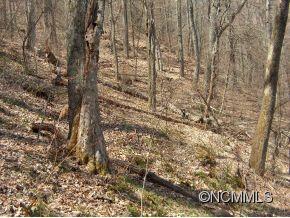 Property image 3 at Lot 9 High Cliff Drive, Waynesville, NC 28786