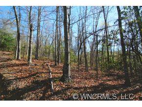 Property image 2 at 0 Speckled Trout Run, Brevard, NC 28712