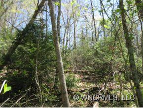 Property image 2 at 9999 Bee Tree Road, Swannanoa, NC 28778